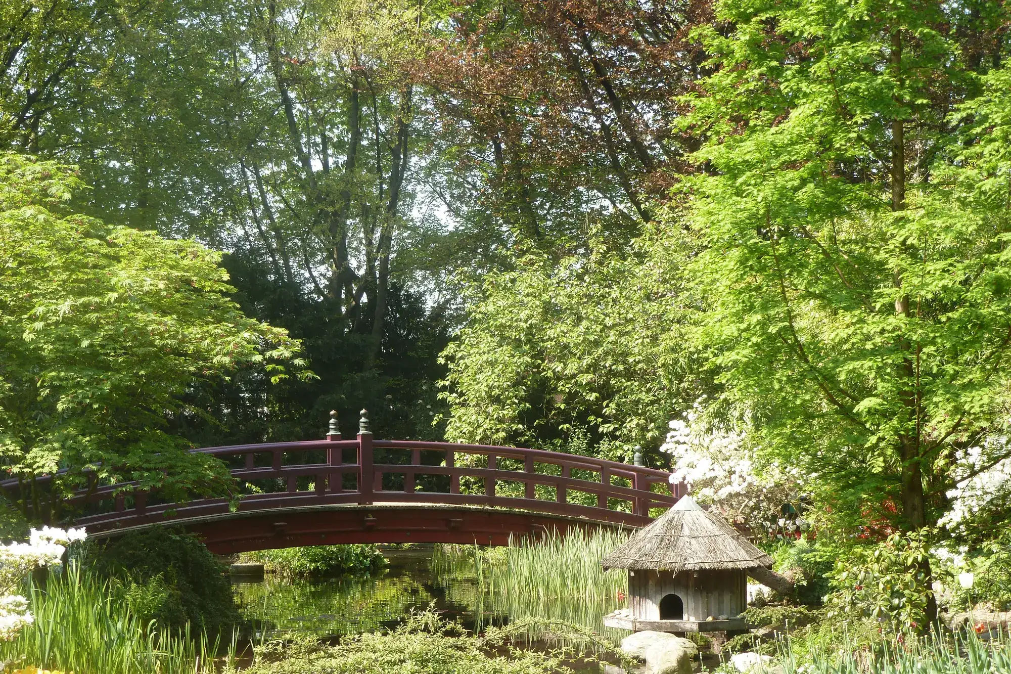 Japanischer Garten in Leverkusen – Einsatzgebiet der Dom TT Bau